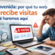 mostrando análisis SEO, métricas de tráfico y diagnóstico inicial de un sitio web